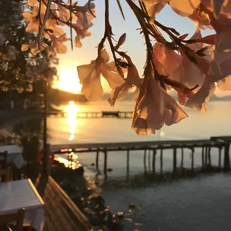 Akrogiali Vendégház