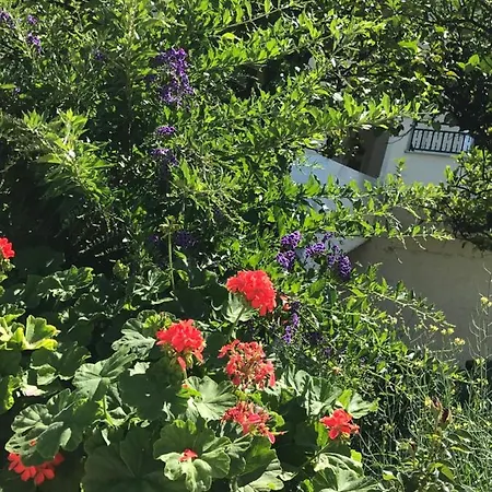 Akrogiali Guest house Mpoukaris