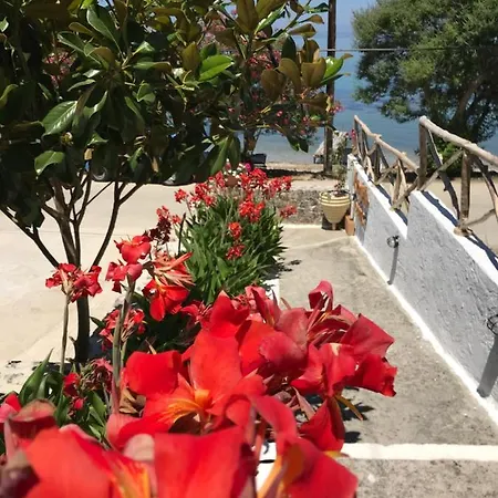 Guest house Akrogiali