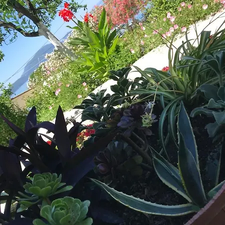 Akrogiali Vendégház 4*