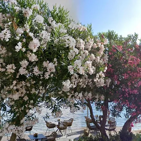 Guest house Akrogiali