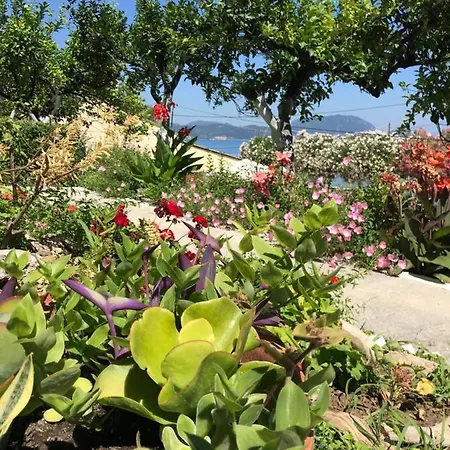 Akrogiali Gasthof 4*