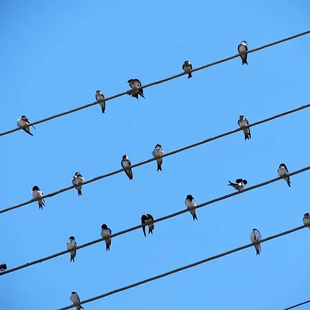 Akrogiali 4* Boukaris