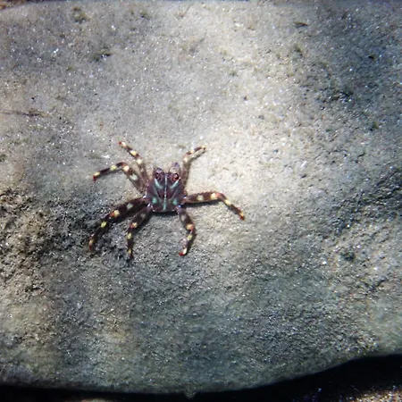 Maison d'hôtes Akrogiali Mpoukaris